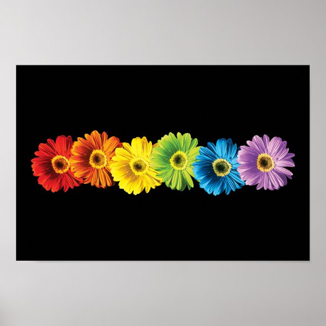 Rainbow Daisies Poster (Front)