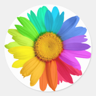 Rainbow Daisy Classic Round Sticker