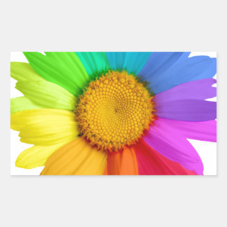 Rainbow Daisy Rectangular Sticker