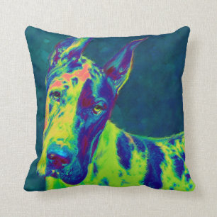 rainbow dane cushion