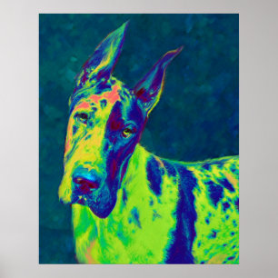 rainbow dane poster