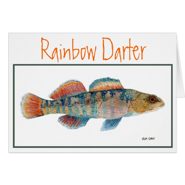 Rainbow  Darter Card (Front Horizontal)