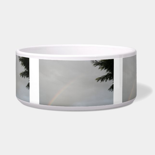 Rainbow Dog Bowl (Front)