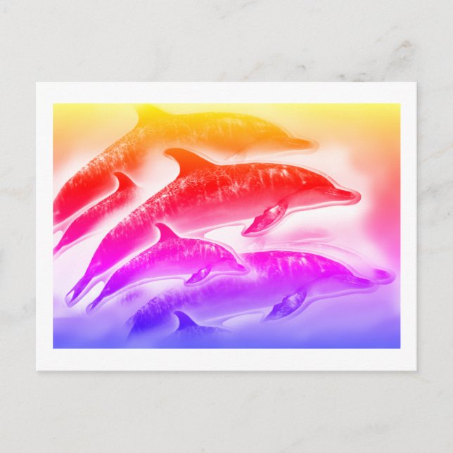Rainbow dolphins art postcard (Front)