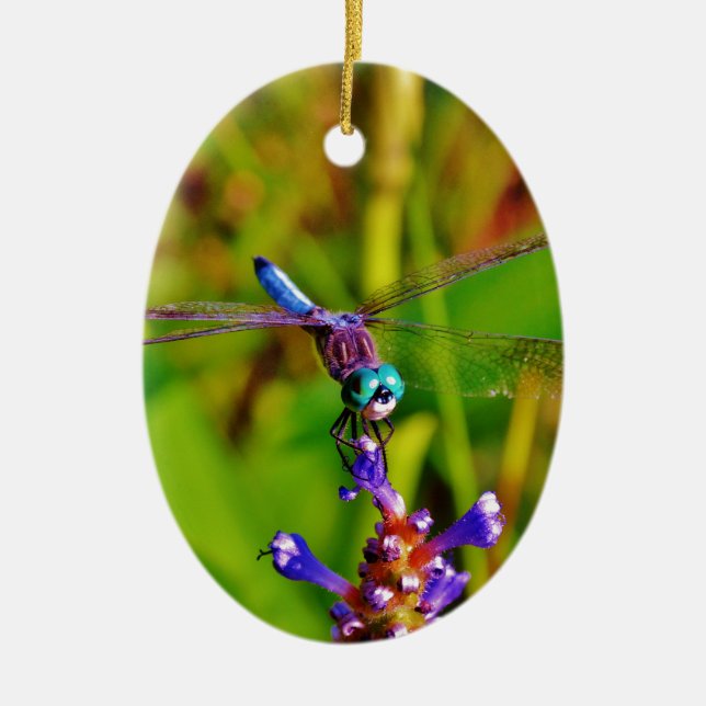 Rainbow Dragonfly and flower Ceramic Ornament (Front)