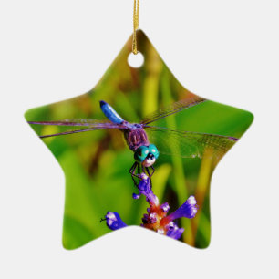 Rainbow Dragonfly and flower Ceramic Ornament