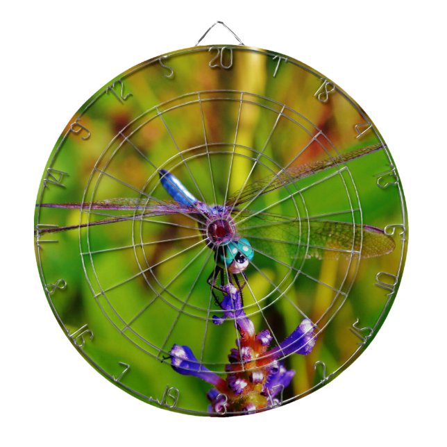 Rainbow Dragonfly and flower Dartboard (Front)