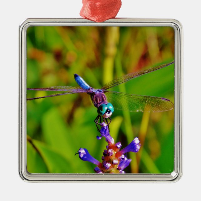 Rainbow Dragonfly and flower Metal Ornament (Front)