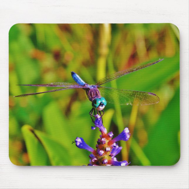 Rainbow Dragonfly and flower Mouse Pad (Front)