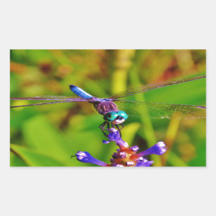 Rainbow Dragonfly and flower Rectangular Sticker