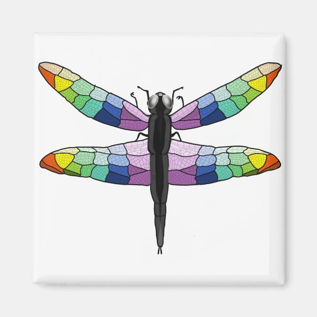 Rainbow Dragonfly magnet (Front)