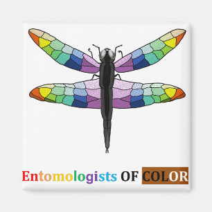 Rainbow Dragonfly magnet