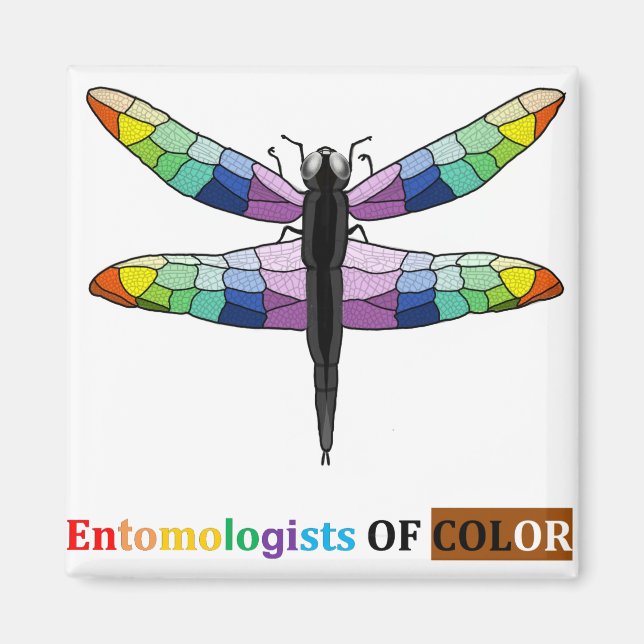 Rainbow Dragonfly magnet (Front)