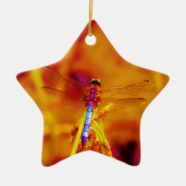 Rainbow Dragonfly on amber and fuschia Ceramic Tree Decoration (Front)