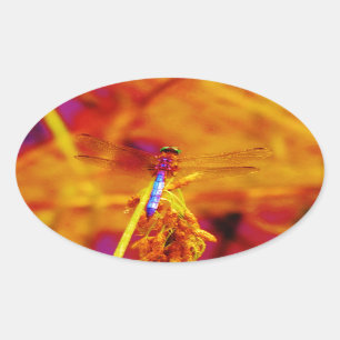 Rainbow Dragonfly on amber and fuschia Oval Sticker