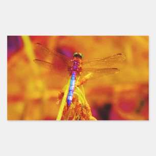 Rainbow Dragonfly on amber and fuschia Rectangular Sticker