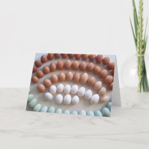 Rainbow Eggs for Rare Breed Hens Card