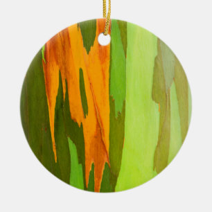Rainbow Eucalyptus bark, Hawaii Ceramic Ornament