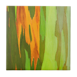 Rainbow Eucalyptus bark, Hawaii Ceramic Tile