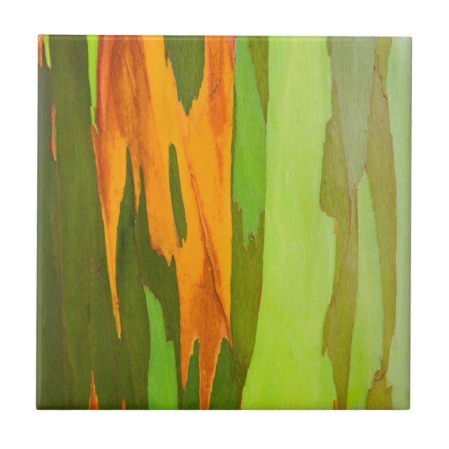 Rainbow Eucalyptus bark, Hawaii Ceramic Tile (Front)