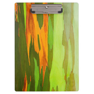 Rainbow Eucalyptus bark, Hawaii Clipboard