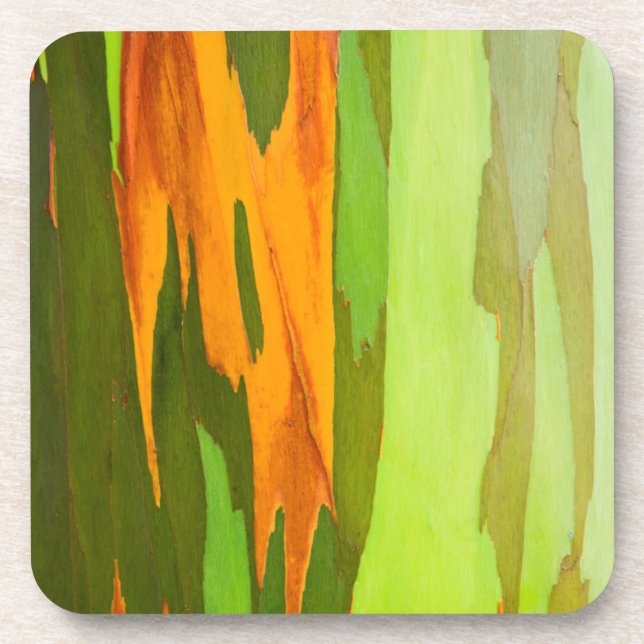 Rainbow Eucalyptus bark, Hawaii Coaster (Front)
