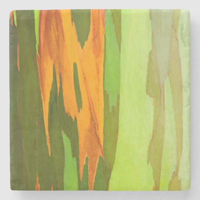 Rainbow Eucalyptus bark, Hawaii Stone Coaster (Front)