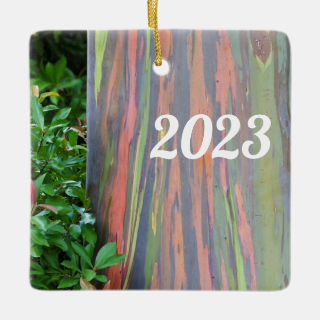 Rainbow Eucalyptus Tree Ceramic Ornament (Front)