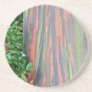 Rainbow Eucalyptus Tree Coaster