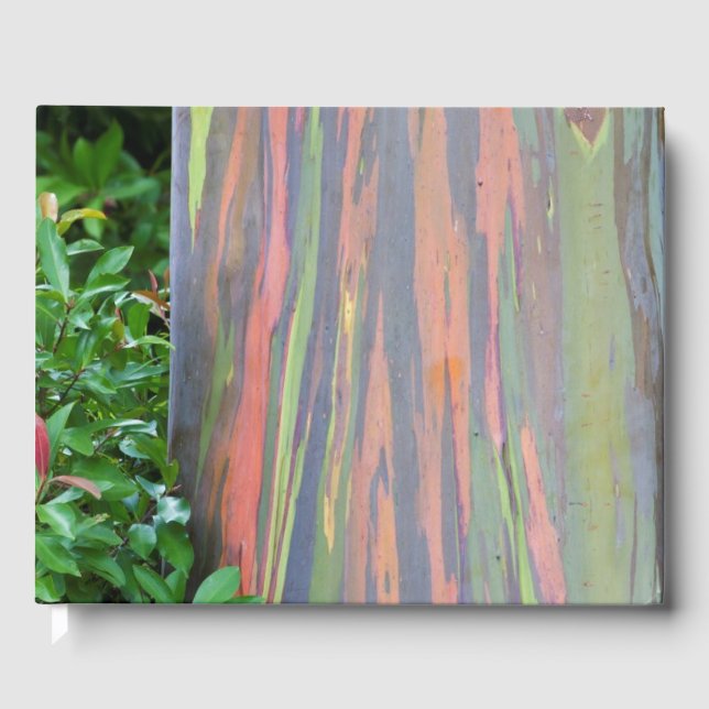 Rainbow Eucalyptus Tree Guest Book (Front)