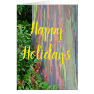 Rainbow Eucalyptus Tree Happy Holidays