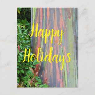 Rainbow Eucalyptus Tree Happy Holidays Postcard