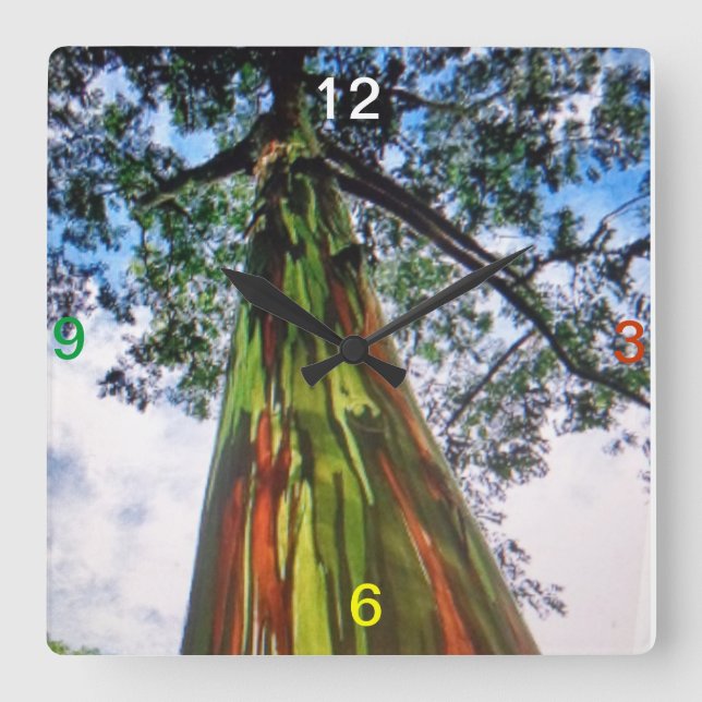 Rainbow Eucalyptus Tree Wall Clock (Front)