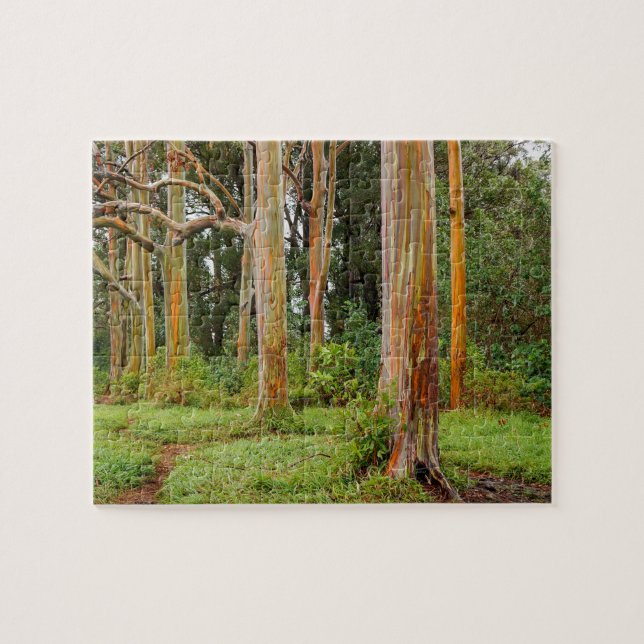 Rainbow Eucalyptus Trees, Maui, Hawaii, USA Jigsaw Puzzle (Horizontal)
