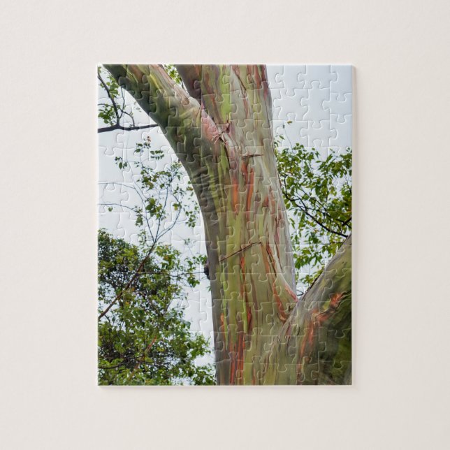 Rainbow Eucalyptus Trees, Maui, Hawaii, USA Jigsaw Puzzle (Vertical)