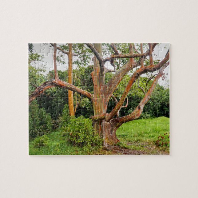 Rainbow Eucalyptus Trees, Maui, Hawaii, USA Jigsaw Puzzle (Horizontal)