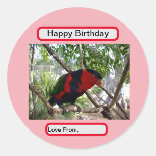 Rainbow Feathers: Pretty Australian Lorikeet, Classic Round Sticker