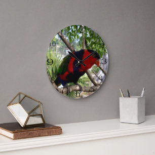 Rainbow Feathers: Pretty Australian Lorikeet, Large Clock