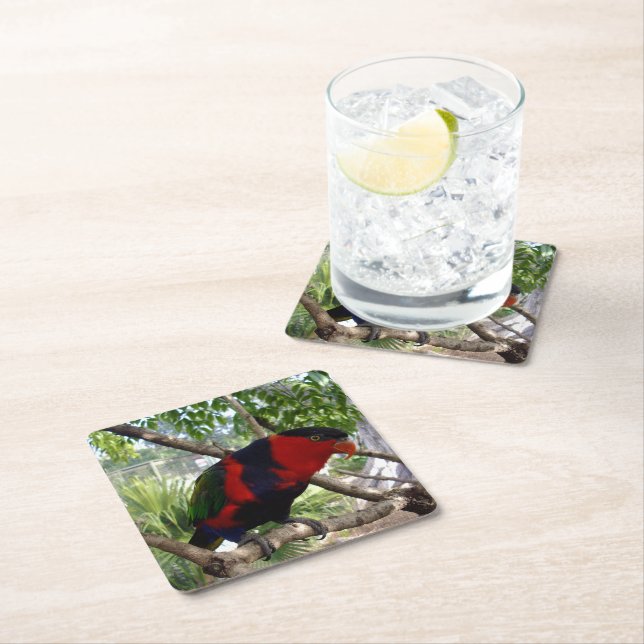 Rainbow Feathers: Pretty Australian Lorikeet, Square Paper Coaster (Insitu)