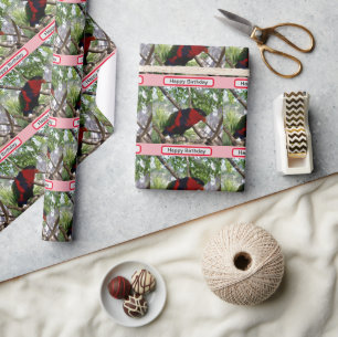Rainbow Feathers: Pretty Australian Lorikeet, Wrapping Paper