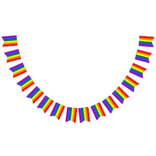 Rainbow Flag Swallowtail Party Bunting Banner