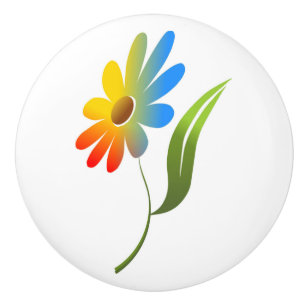 RAINBOW FLOWER CERAMIC KNOB