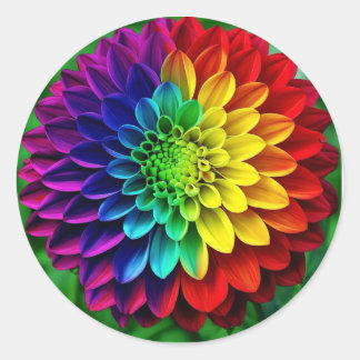 Rainbow Flower- Colourful Dahlia Classic Round Sticker