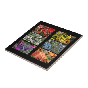Rainbow Flower Photo Collage Ceramic Tile
