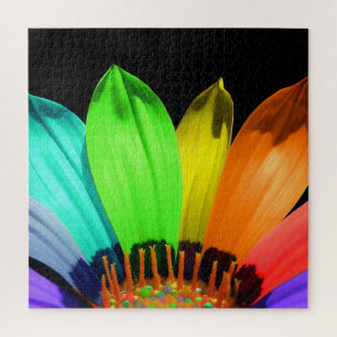 Rainbow Flower Puzzle