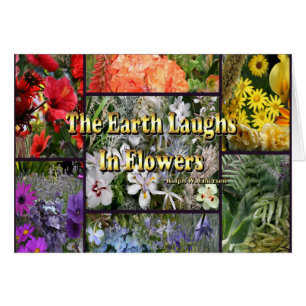 Rainbow Flowers - Earth Laughs by Emerson