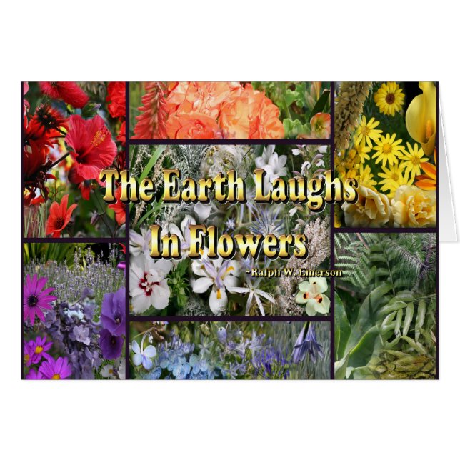 Rainbow Flowers - Earth Laughs by Emerson (Front Horizontal)