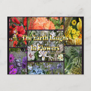 Rainbow Flowers - Earth Laughs by Emerson Postcard