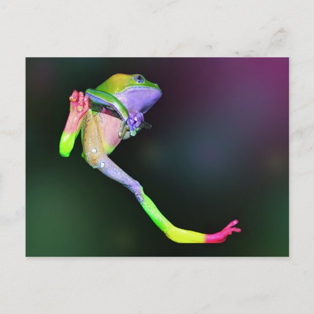 Rainbow Frog Postcard (Front)