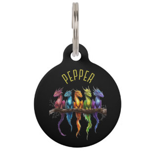 Rainbow Group of Baby Dragons on Black Pets Name Pet Tag